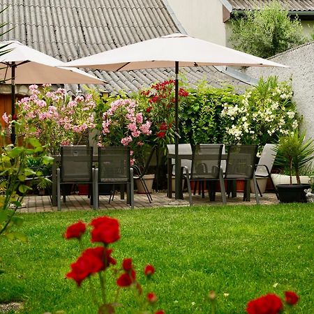Privatzimmer Haider Illmitz Exterior foto